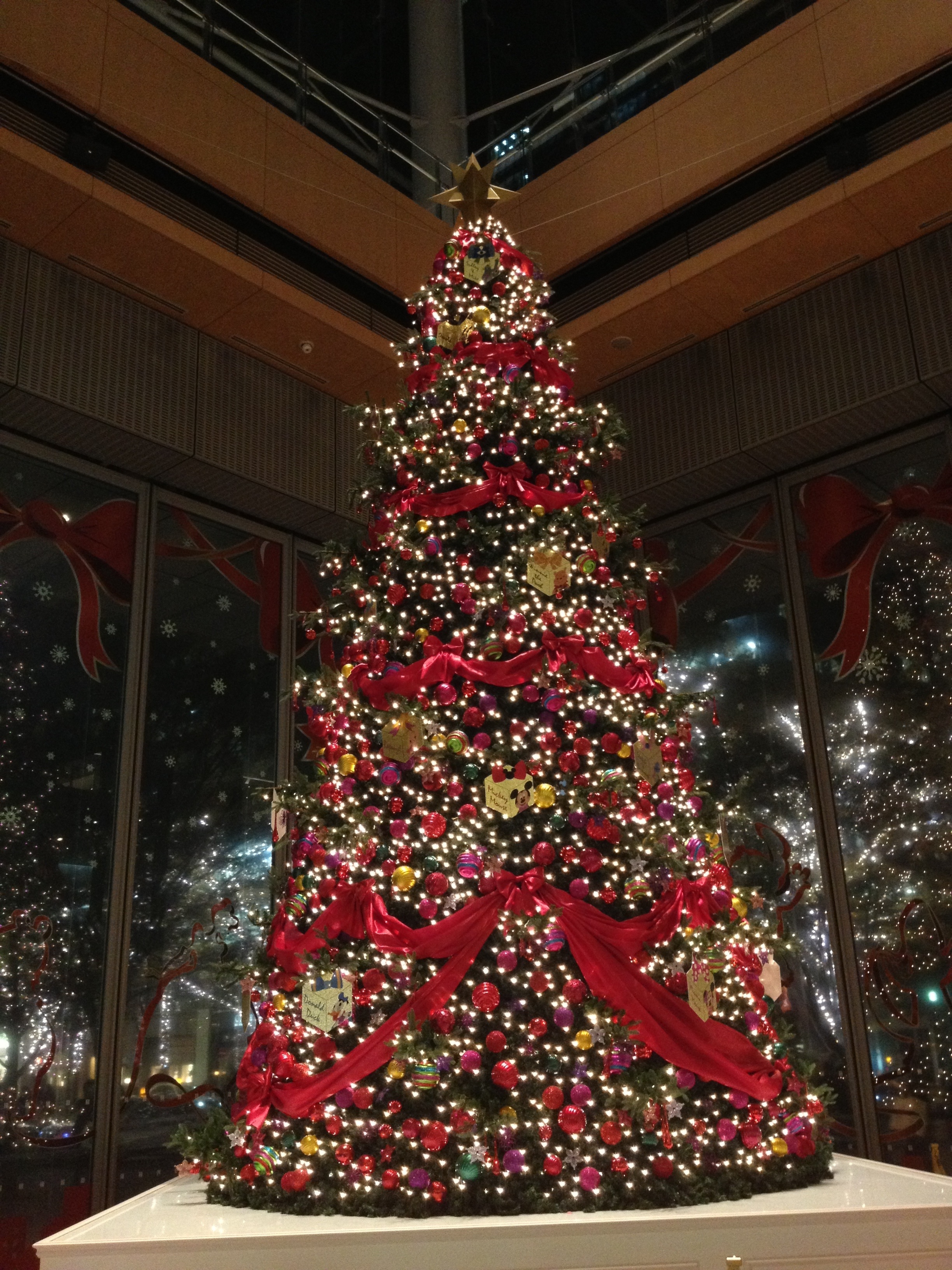 20131120-230959.jpg