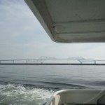IMG_20131103_132948