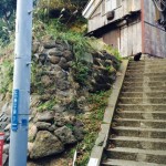 ひだまり