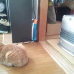 ストーブ
