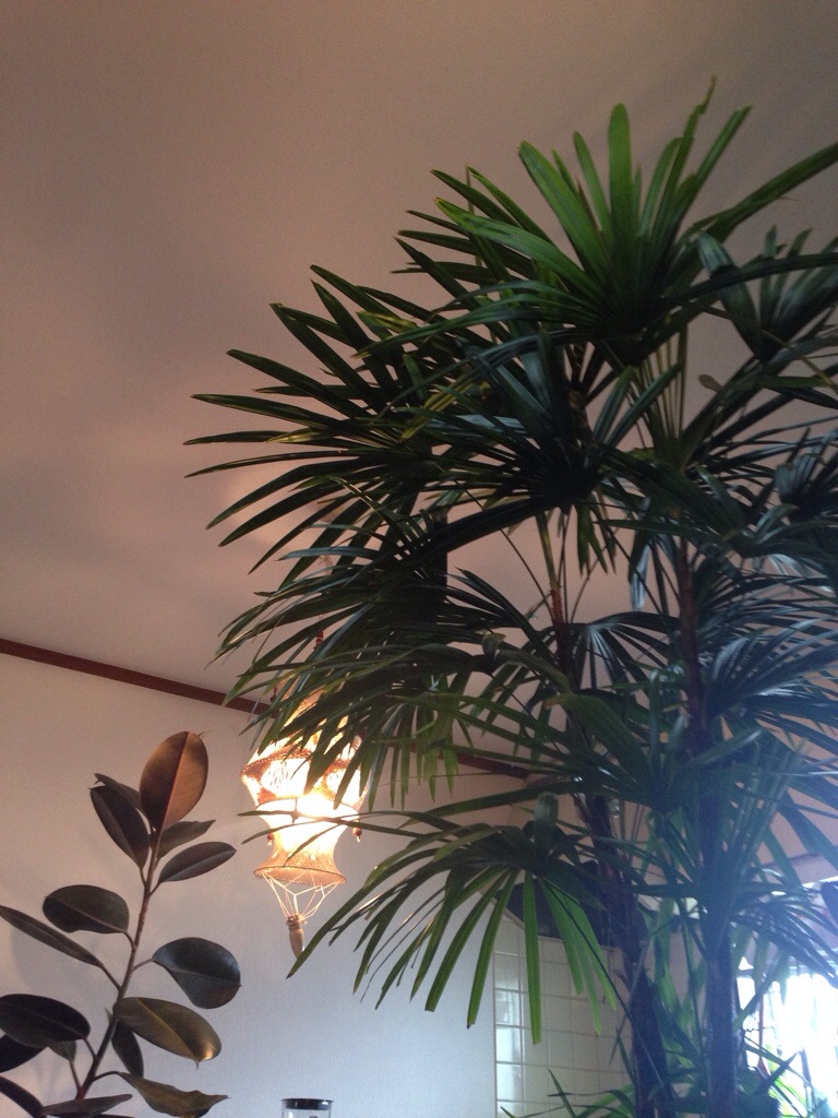 20140526-124503.jpg