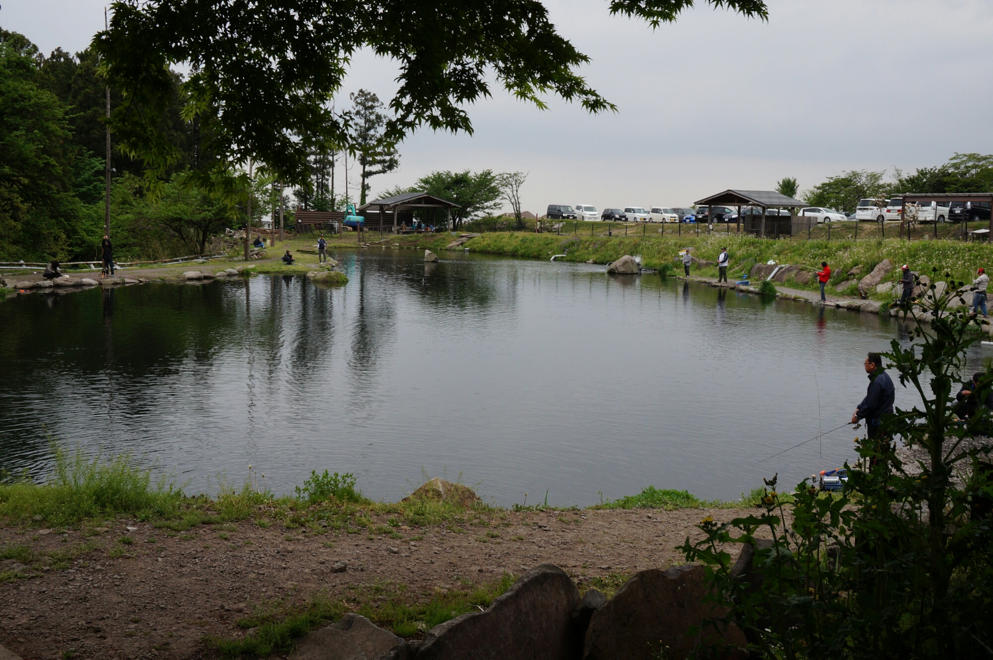DSC00913.JPG image