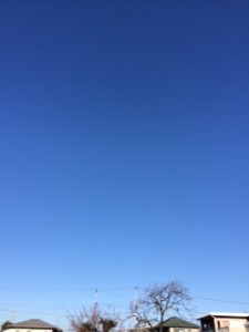 IMG_0184