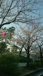 小田原城