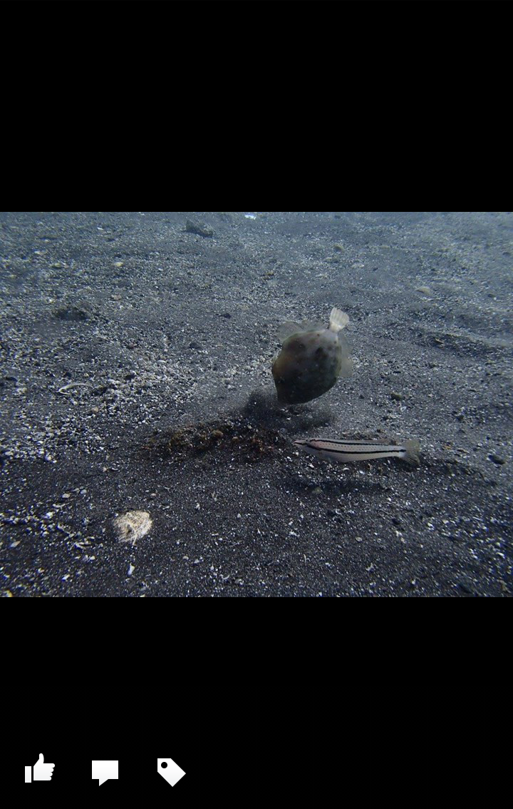 clip_now_20151020_095850.png image