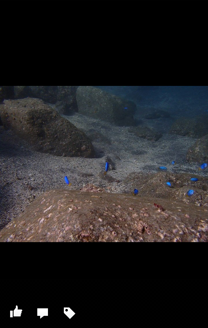 clip_now_20151020_095859.png image