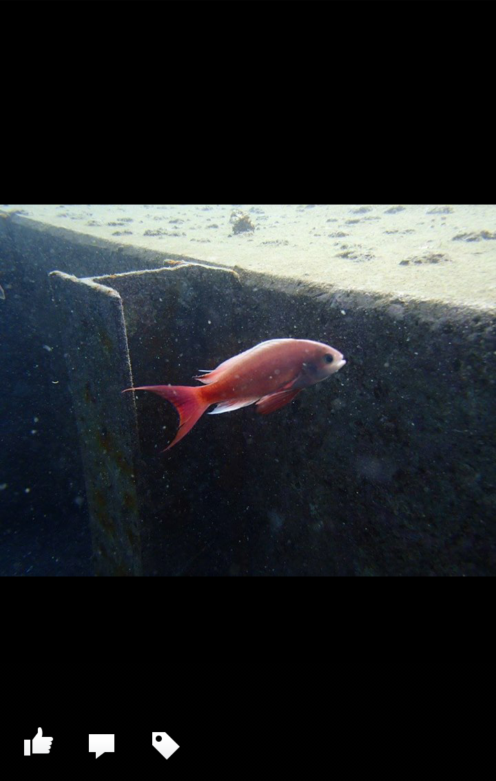 clip_now_20151020_095903.png image