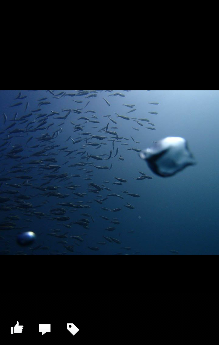 clip_now_20151020_095917.png image