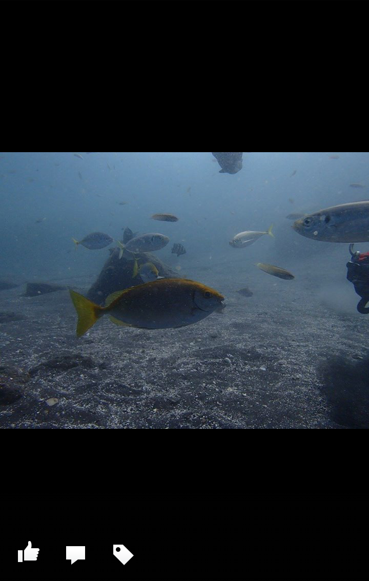 clip_now_20151020_095931.png image