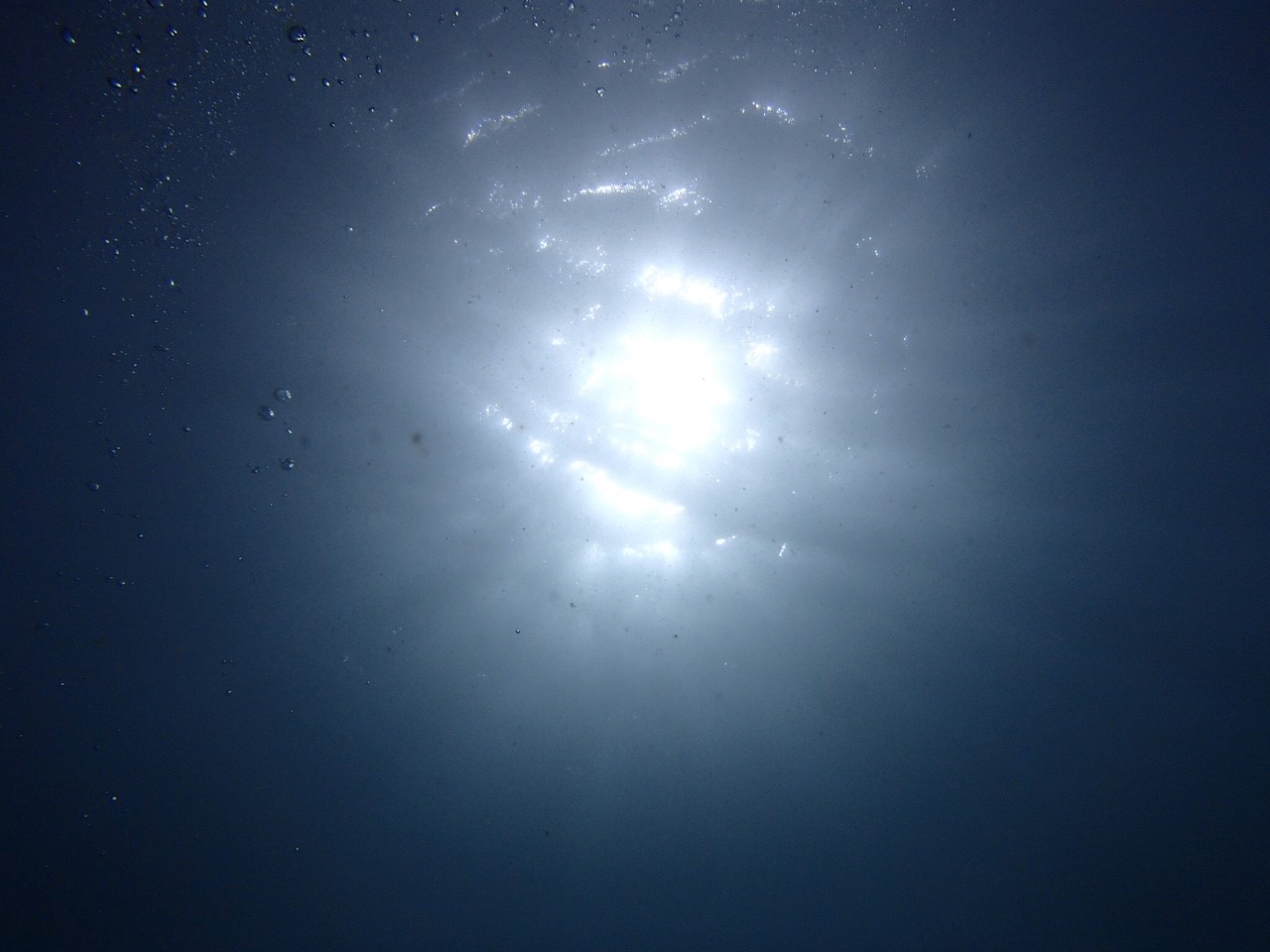 wp-1444433052339 image