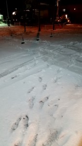 20151124_165652