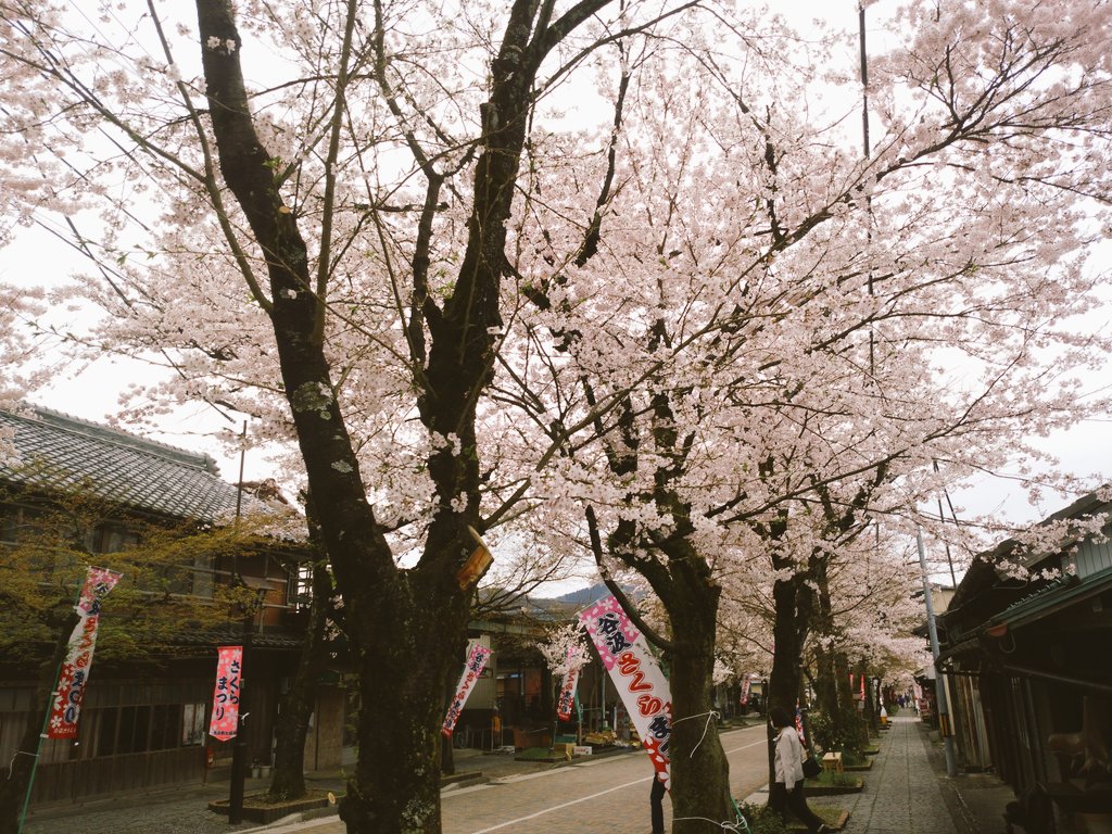 IMG_20160405_114801.jpg image
