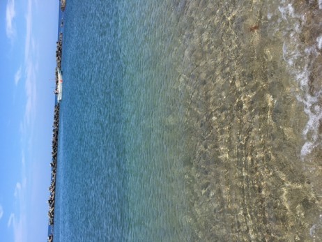 image1
