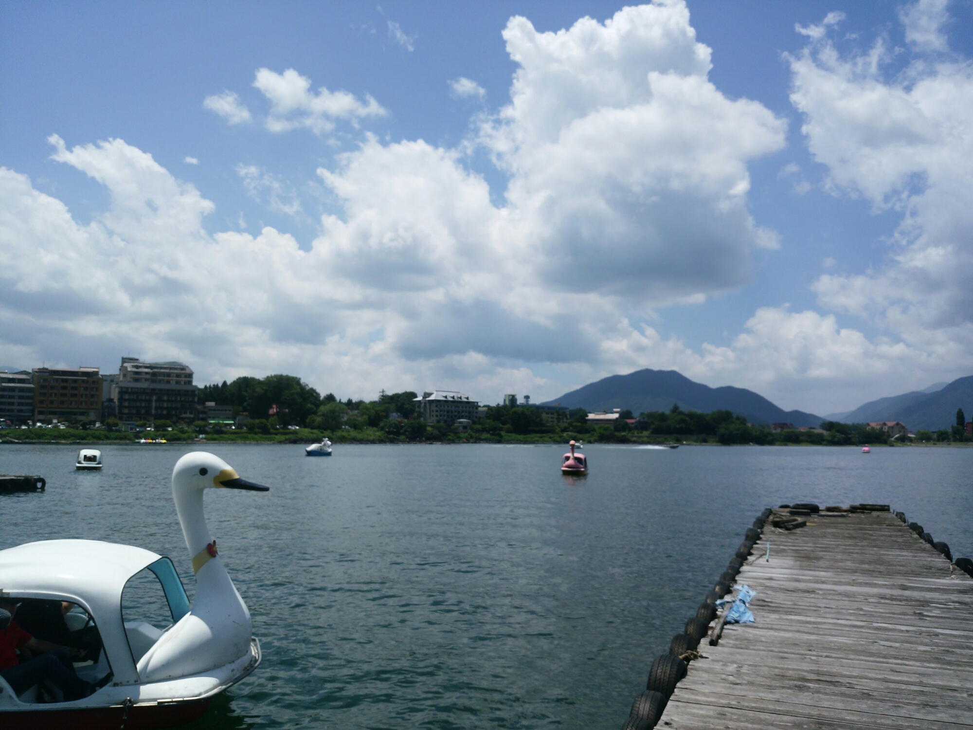 CameraZOOM-20160718115257895.jpg image