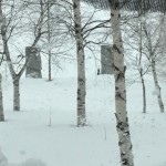 IMG_0484